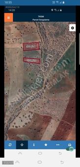 Acil Konya Bozkır'da Anayola 600 M Mesafede Tek Tapu Tarla