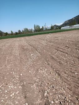 Antalya Elmalı Yuva Mahallesinde Suyu,yolu Bulunan 6.700m2 Yatırıma Uygun Satılık Tarla