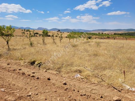 Konya Kızılören Mahallesi Eşsiz Köşe Parsel Arsamız