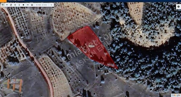 Başkan Emlaktan Satılık Bilecik Deresakarı Köyü 2.495 M2 Tarla