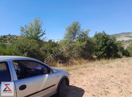 Bilecik Yenipazar'da Tek Tapu Yatırımlık