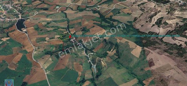 Yalova Kılıç Köy De 50.464 M Kare Çiftlik