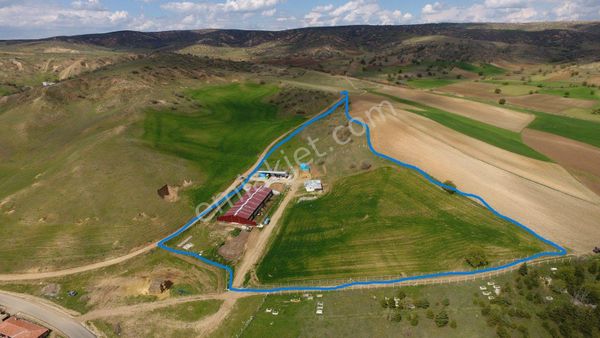 Büyükbaş Ve Küçükbaşa Uygun Besi Çiftliği!!!