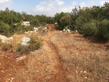 Kızkalesinde Deniz Manzaralı Satılık Arsa