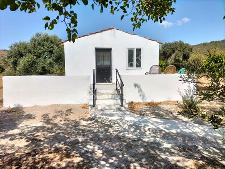 Urla Zeytineli Köyünde Satılık Çiftlik