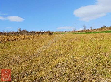 Adapazarı Büyükhataplı Mah Yollu Arazimiz