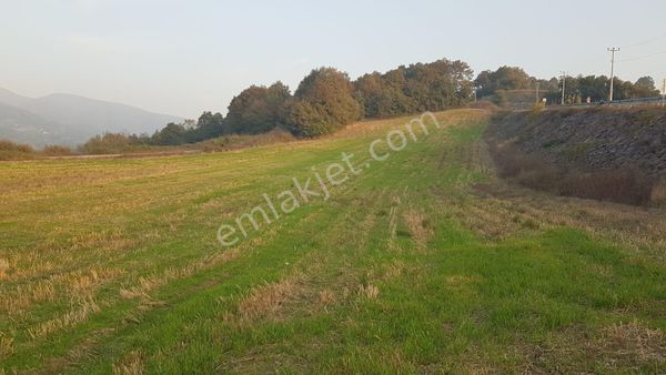 Kocaeli Karamürsel Akçat Mahallesi Satılık Tarla 7451 M2