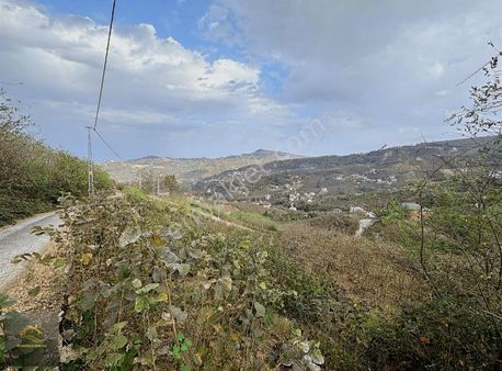 Trabzon Ayvalı Mahallesi Satılık 648m2 Arazi