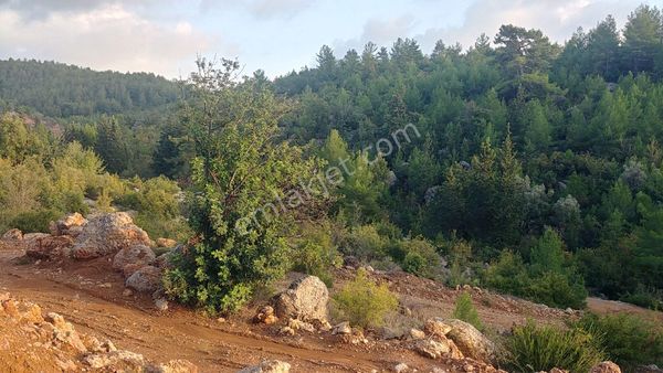 Alanya Orhan Mah.satılık Tarla