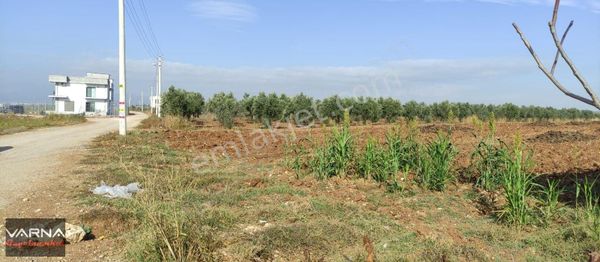 Menderes Oğlananasında 8500 M2 Tek Tapu Tepsi Gibi Arazi