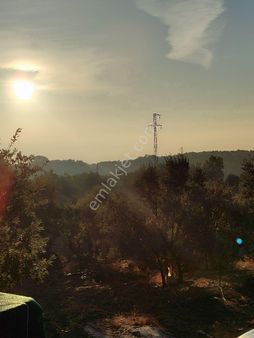 Bergama Çamtepe Full Doğa Dağ Manzaralı Eşsiz Tarla (2.187.34 M2)