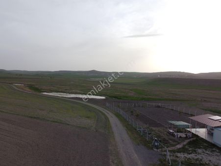 Ahmetçayırı 254 M² Su - Tel - Yol Mevcut Kooperatif Hissesi