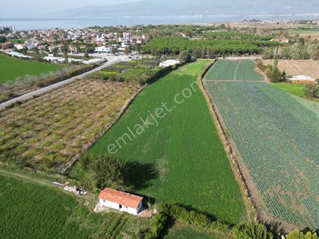 Sabri Pınarbaşı'dan Burhaniye Denetko Mevkiinde Yatırımlık Satılık Tarla