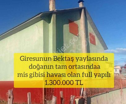 (7 ) Giresunun Bektaş Yaylasında Doğanın Tam Ortasında Mis Gibisi Havası Olan Full Yapılı