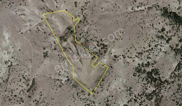 Güvenay - Çorum Büğet Mevkii 32 Dönüm Satılık Tarla