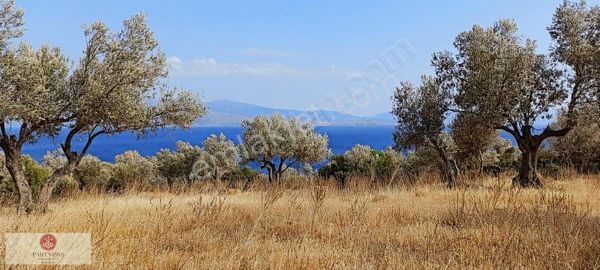 Çanakkale Ayvacık Bademli De Emsalsiz Yol Ve Deniz Cepheli Arazi