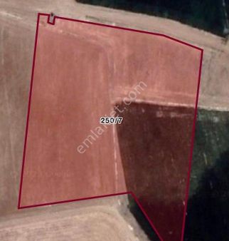 Sezenler Emlaktan Çumra Avdul Mahallesi'nde Satılık Tarla