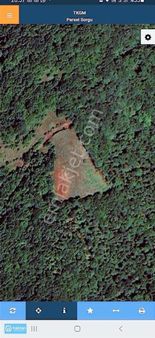 Samsun Canik Gürgenyatak Orman İçinde Manzaralı Satılık Tarla