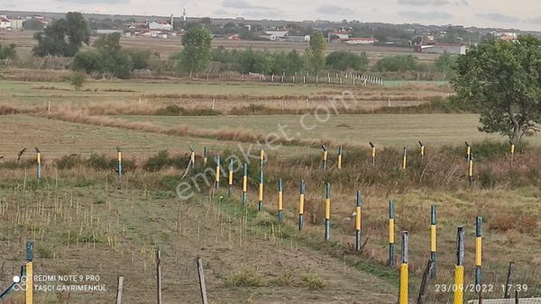 Kapaklı Karlı'da Asfalt Üzeri 1557 M²'lik Yerimiz Satılık