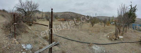 Güvenay – Çorum Eskiekin Bağları – 2.743 M² Müstakil Tapulu Satılık Bağ