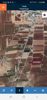 Savaş Gayrimenkul Den Satılık Zeytinlik