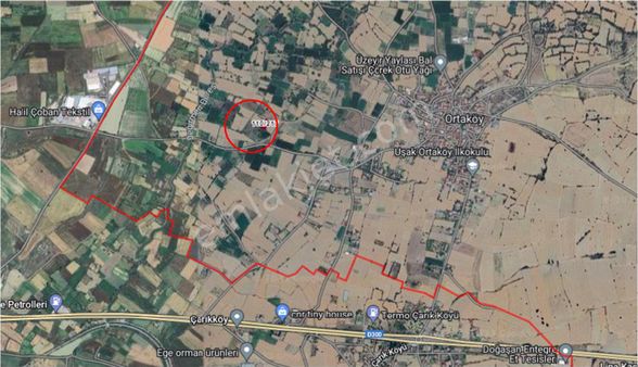 Uşak Merkez Sayılık Tarla (ortaköy De Hobi Bahçesi)