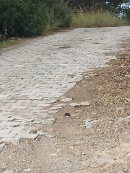 Koyuncu Group Tan Gaziemir İmar Sınırında Satılık Zeytinlik Tarla