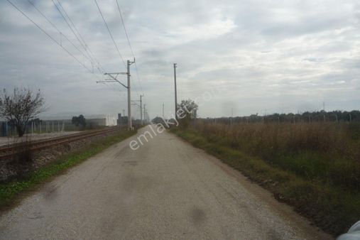 İzmir Torbalı Gold Emlaktan Satılık Tarla