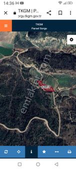 Amasya Merkez Ormanözünde Satılık Bahçe