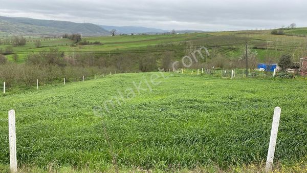 Kocaeli Kandırada Tanrıverdi Gayrimenkul'den Satılık Arsa Tarla