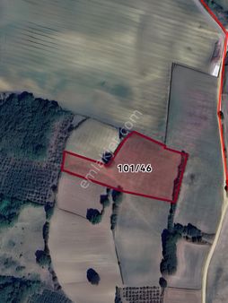 Kocaeli Selim Köy Göl Manzaralı Tarla