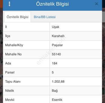 Rw Nova Dan Uşak Karahallı Da Yola Cephe Arazi