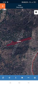 Muğla Milas Kandak Mhde Satılık Zeytinlik