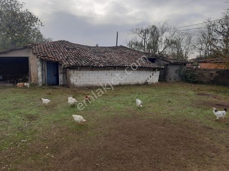 Tekirdağ Sarayda Cadde Cephe Köy Arsası. Yatırım Ve Huzur.