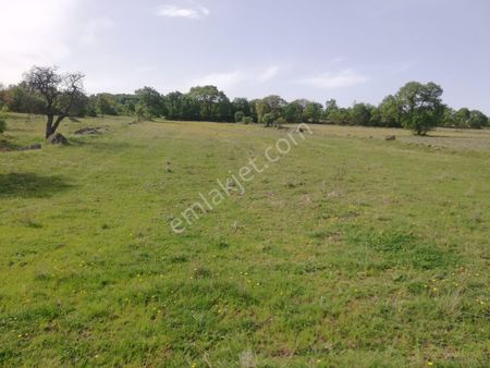Balıkesir İvrindi Gökçeyazı/köseağalar Mahallesi 4700 M2 Yatırımlık Satılık Tarla
