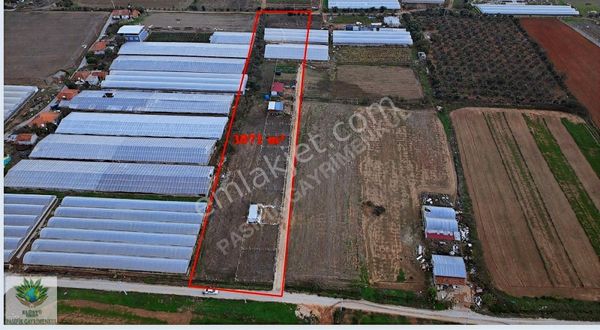 Pasifik'ten Menderes Develide Hisse Tapu 3871 M² Arazi