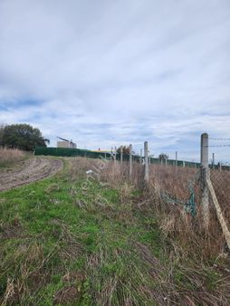 Tek Tapu Ana Yola Cepe