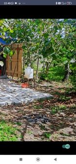 Samsun Terme Mihlipelitmahsinde Anayola Cephe Yarisi Fuz Yarisi Az Mehilli Satikik Fimdik Bahcesi