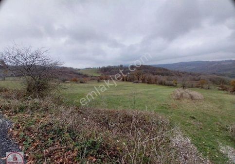 Balıkesir Karesi İlçesi Taşkesiği Mahallesi Satılık 6 Adet Arazi Ve Köyiçi 1260 M2 Arsa Satılıktır..