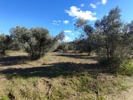 Bulut Yatırımdan 422 M² % 35 3 Kat İmarlı Merkezi Konumda Arsa