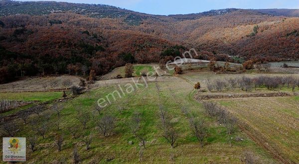 7,245 M2 Oğulpaşa Ovasında Satılık Arazi-osmanlı Gayrimenkul'den