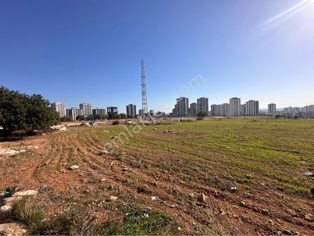 Tek Tapu İmarın Dibi Fırsat Arsa