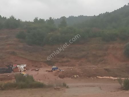 Manisa Ahmetli Alahıdır Mah 19333m² Satılık Zeytinlik