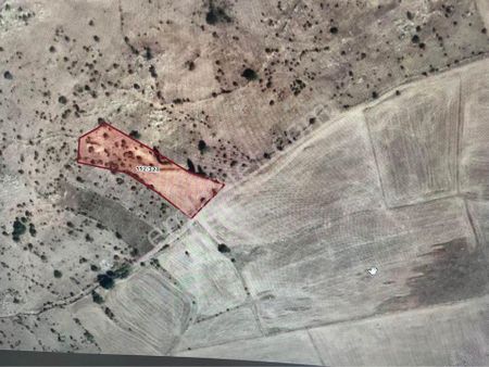 Yozgat Sorgun Kücük Köhne Yolu Üzeri Erol Emlak Tan 4 Dönüm Satılık Bag Yeri