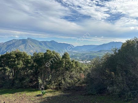 Adrasan Deniz Manzaralı Kısmi Ana Yola 100 Metre Müstakil Tapu 8.000 Metre Kare