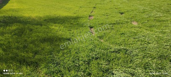 Denizli/ Bozkurt /hayrettin Mah.düz Tarla 15.000 M2 Araç Ve Apart Takası Olur Kısa Süreliğine