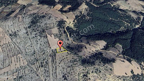 Kütahya Emet Ömerfakı 1,652 M² Tek Tapu Tarla