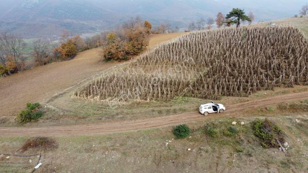 Resmi Yolu Olan 5 Dönüm Köye Yakın Yatırımlık Arazi