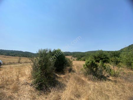 Günüören Köyünde 7000m2 Satılık Arazi