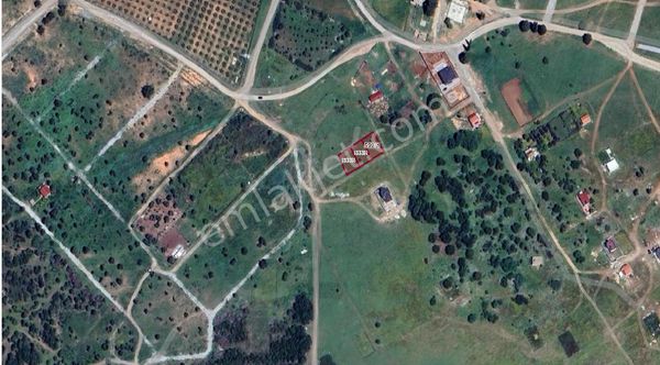 Didim Akyeniköy Balova Merkezde Satılık 3 Arsa Yan Yana